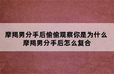 摩羯男分手后偷偷观察你是为什么 摩羯男分手后怎么复合